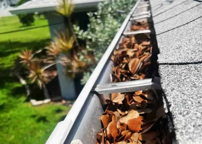 Loveland gutter cleaning home page
